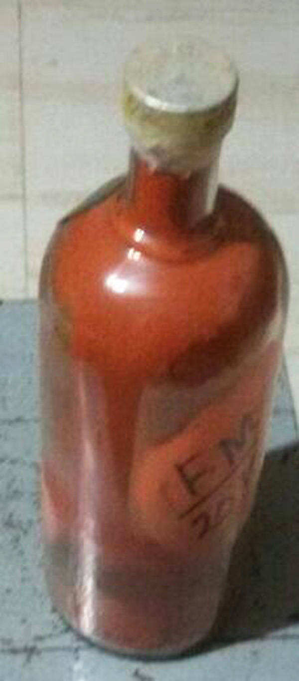 East Indian Bottle Masala, How To Make East Indian Bottle Masala.