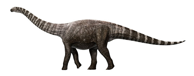A high-heeled dinosaur? A high-heeled dinosaur?