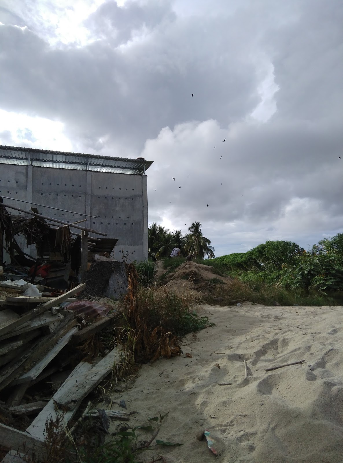 Budidaya Walet Januari 2017