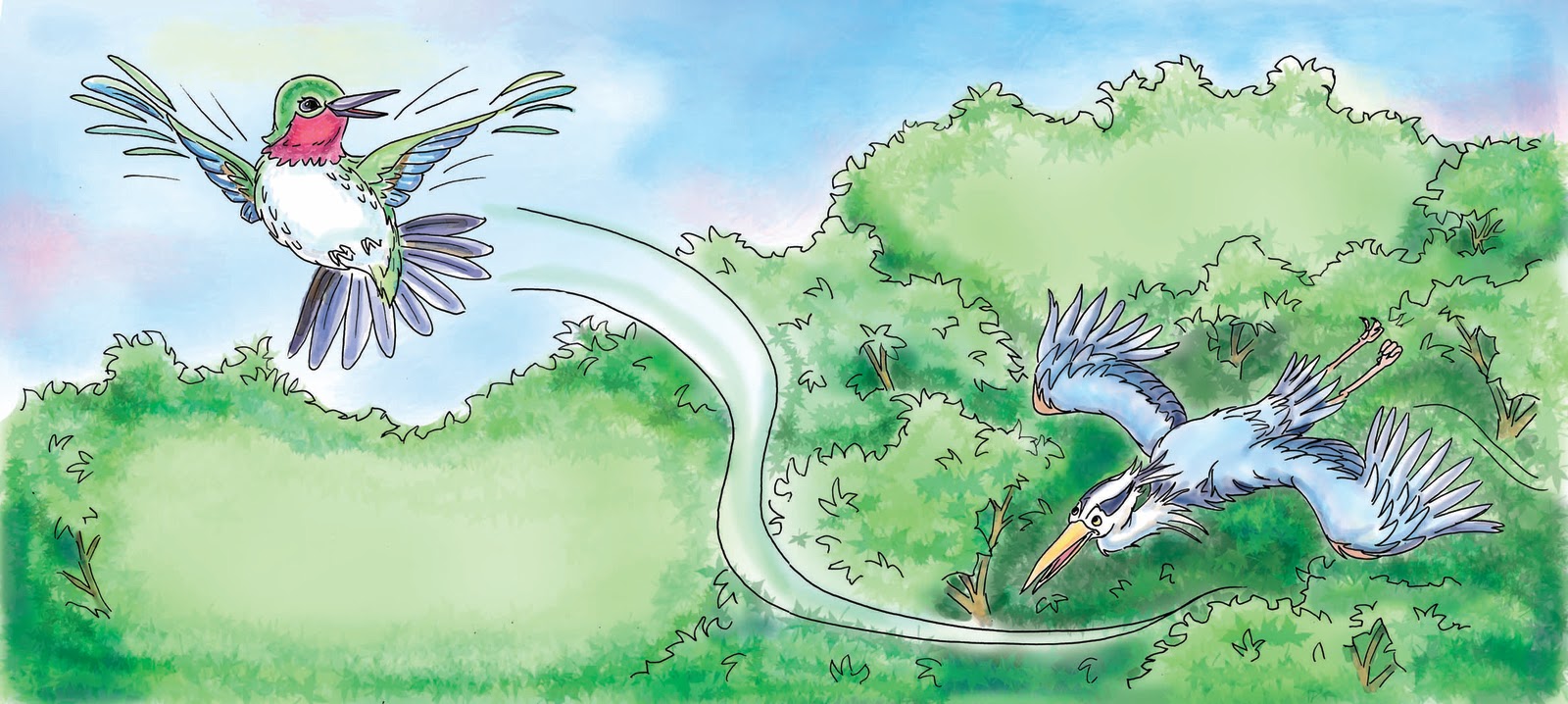 lisasmasterpieces Why Do Hummingbirds Drink Nectar?