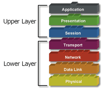 7 layer of networking
