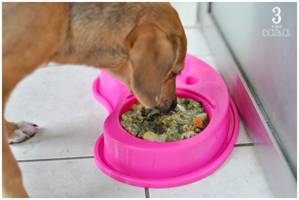 comida natural para cachorro