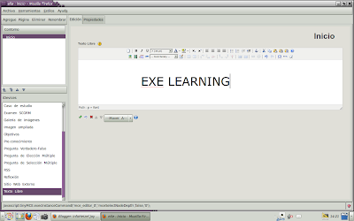 InfoHeizel Joy: Exe- Learning
