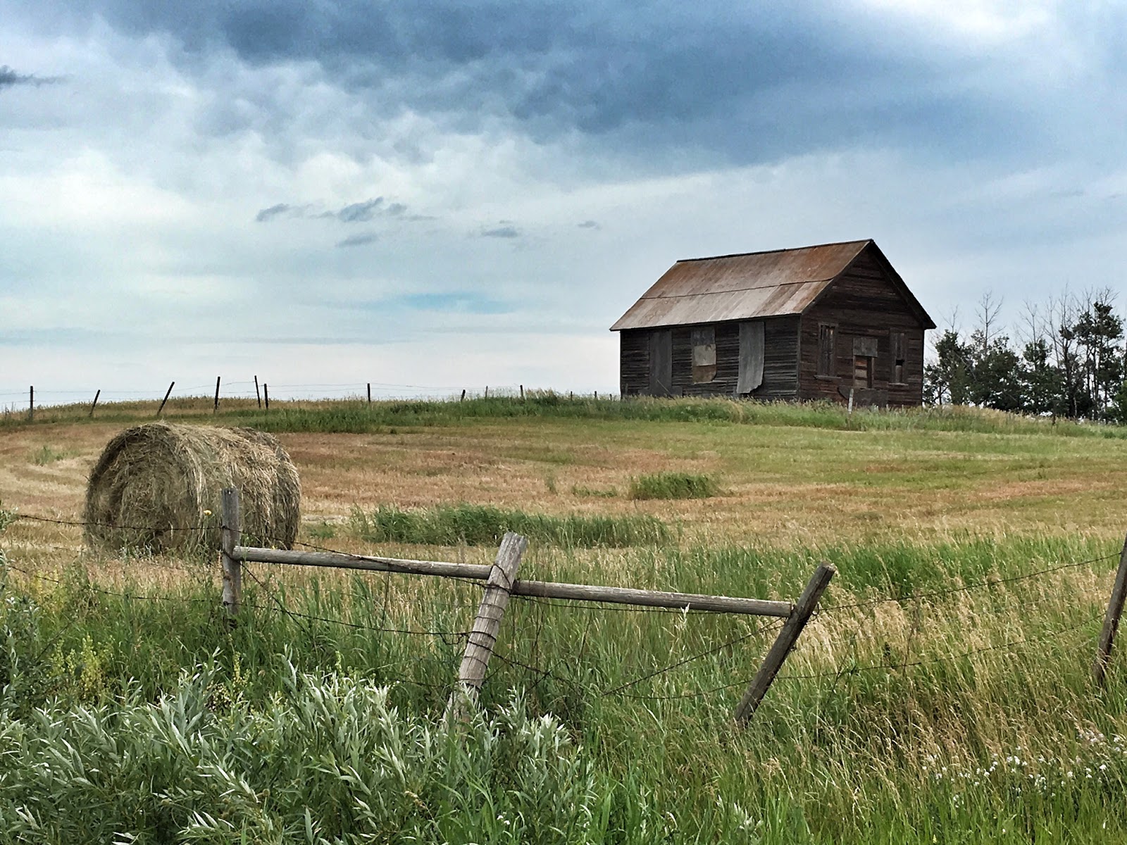 West of the 5th As Seen in Central Alberta Gadsby, Botha and More!