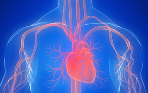 https:/healthweb.tk New Device Helps Protect Patients from Stroke During Heart Valve Replacement