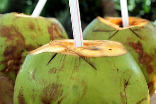 MANFAAT KELAPA HIJAU BAGI KESEHATAN kelapa hijau bagi kesehatan