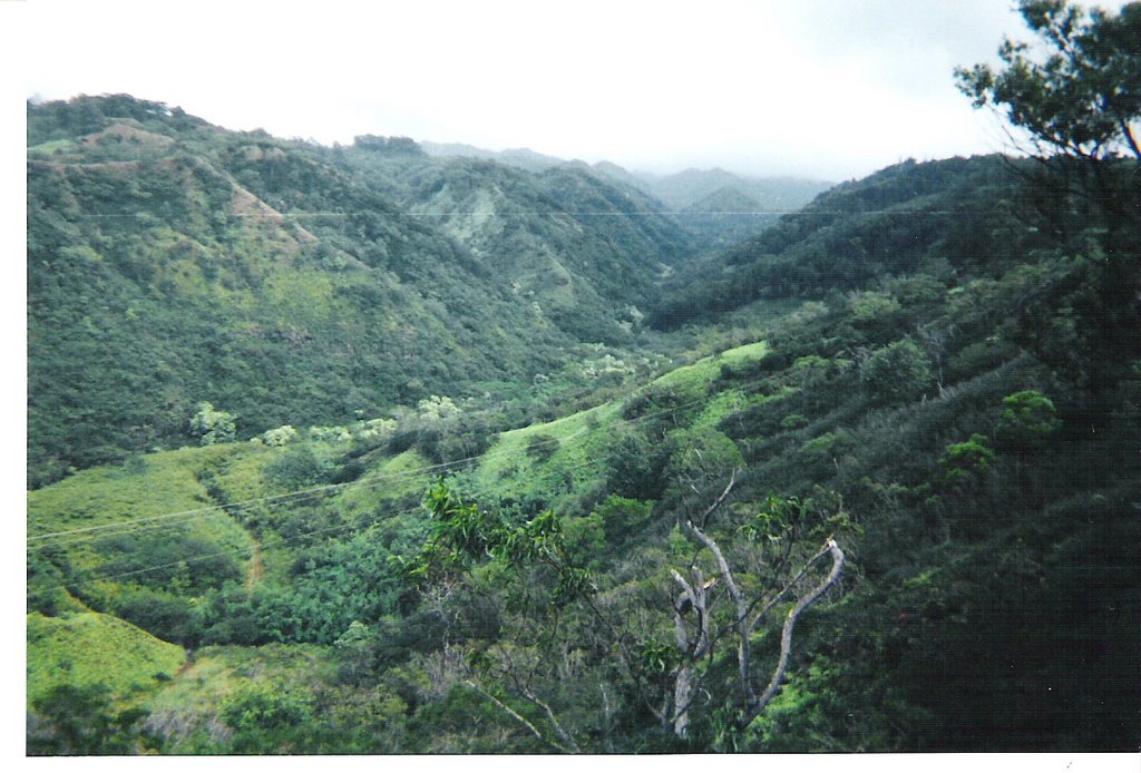 Seeks Ghosts The Night Marchers of Kipapa Gulch