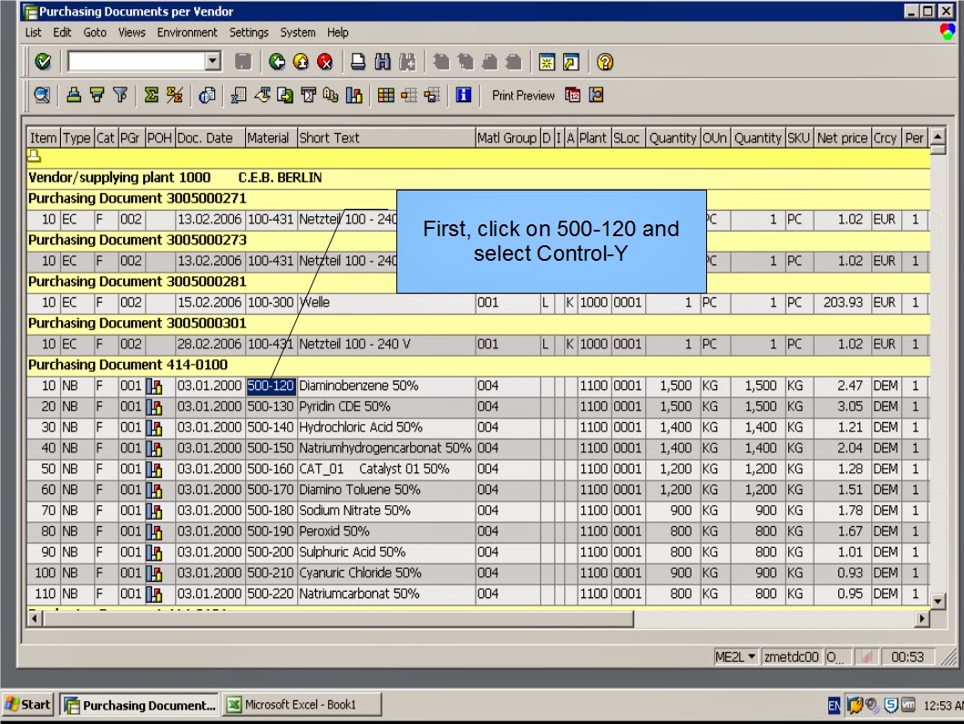青蛙SAP分享 Froggy's SAP sharing N20 Clipboard Operating Multiple Fields