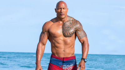 profil biodata lengkap pemain film fast amp furious rock bio data