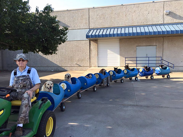 20 Dog Owners Who Were Hilariously Creative (Pictures)