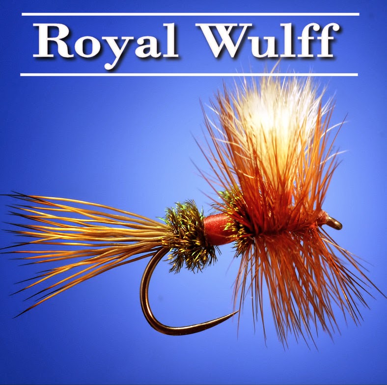 royal-wulff-fly-fish-food