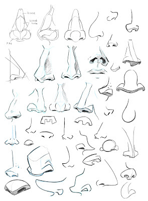 Learning drawing principles: eyes and noses