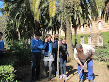 Planting a cork tree in Villafranca de los Barros
