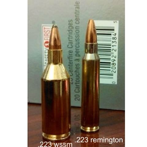 Synonyms: .223 Winchester Super Short Magnum (WSSM) .