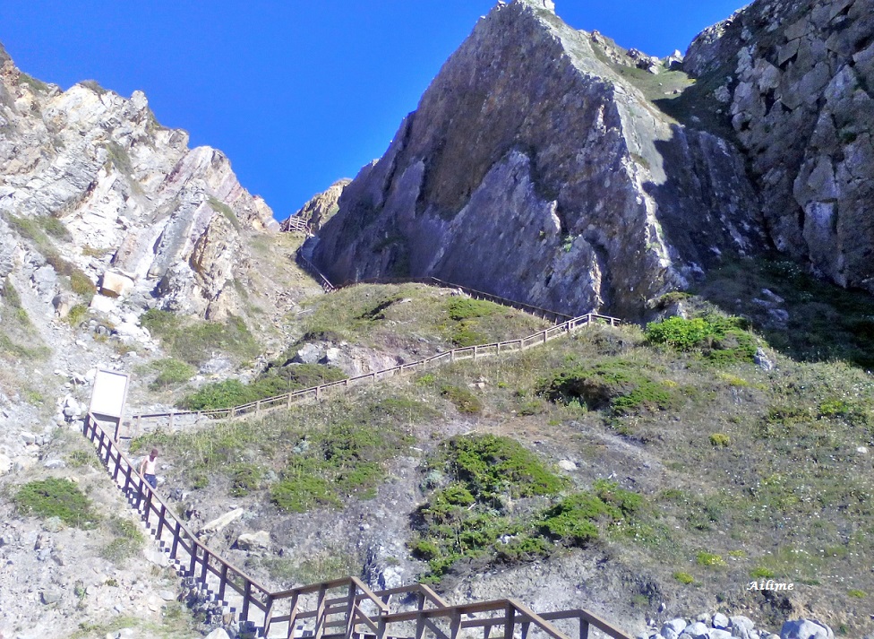 Ecos e reflexos : Pegadas de Dinossauro na Praia Grande