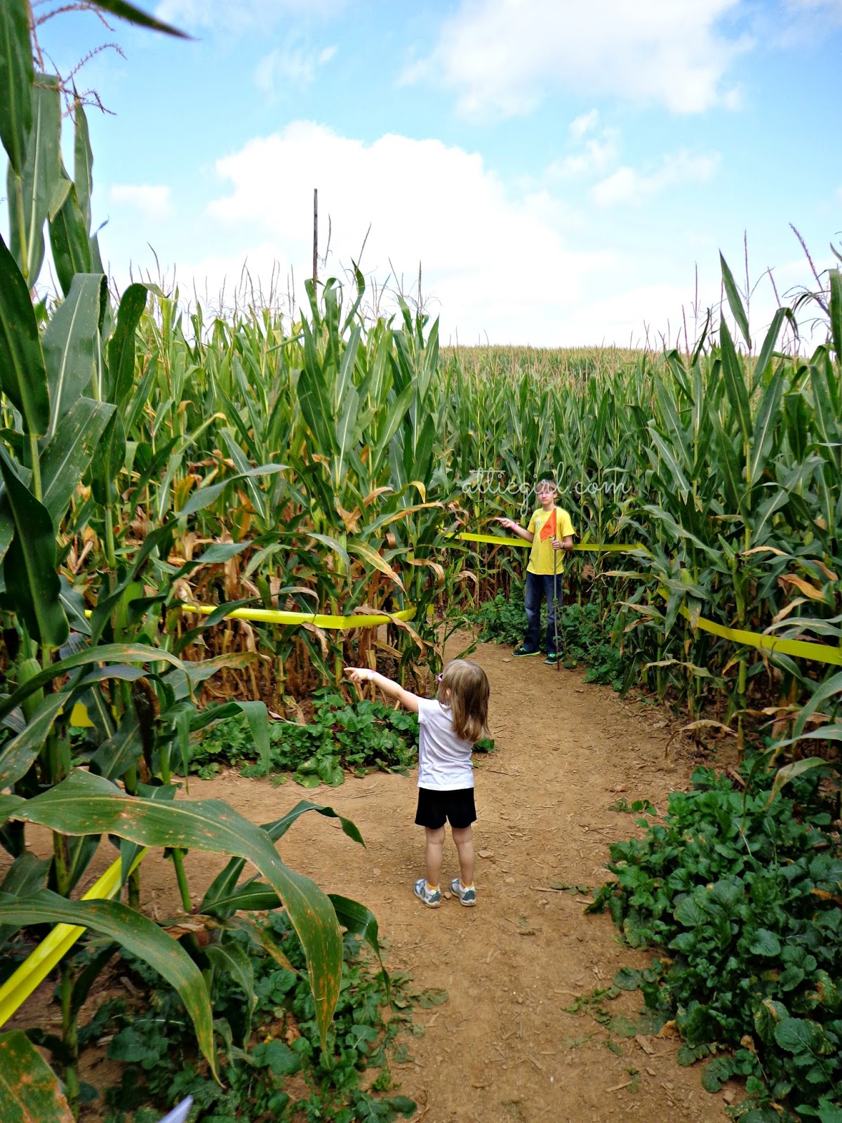 Maize Quest Fun Park Corn Mazes in PA
