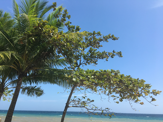 Catmon Beach in between KM 50 & KM 51 Catmon Beach in between KM 50 & KM 51