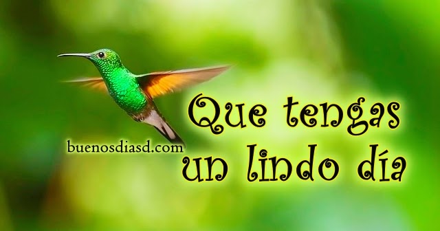Video Buenos Deseos para un Feliz Día | Buenos Días Para Ti