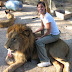 Kebun Binatang Paling Bahaya Pengunjung Bisa Begini, Foto Bareng Singa