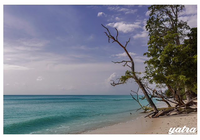 Havelock island havelock-island-radhanagar-beach-andaman-islands-india-1
