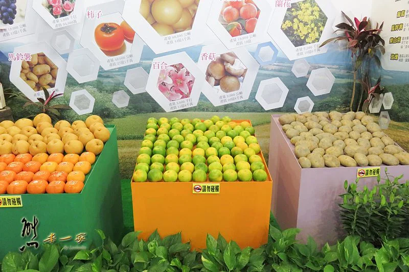 新社花海|中台灣農業博覽會