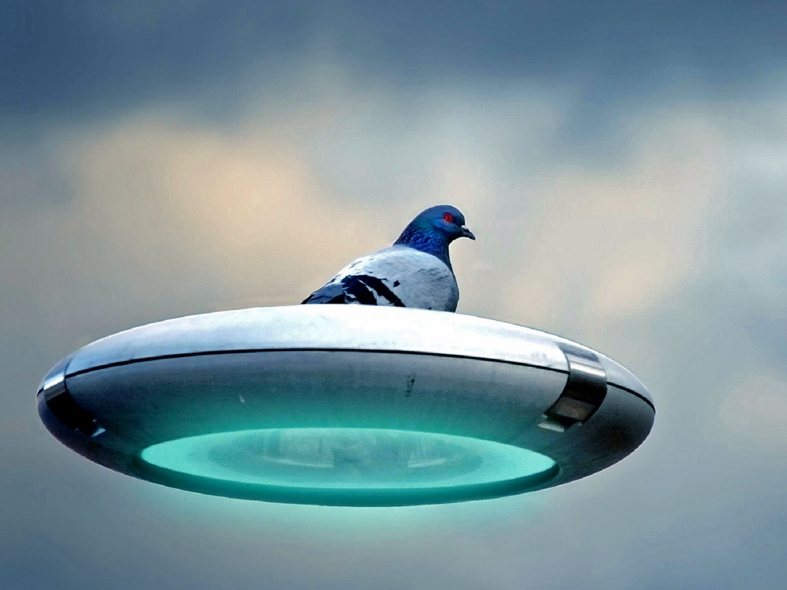 Witzige Außerirdische Taube fliegt mit Ufo lustig