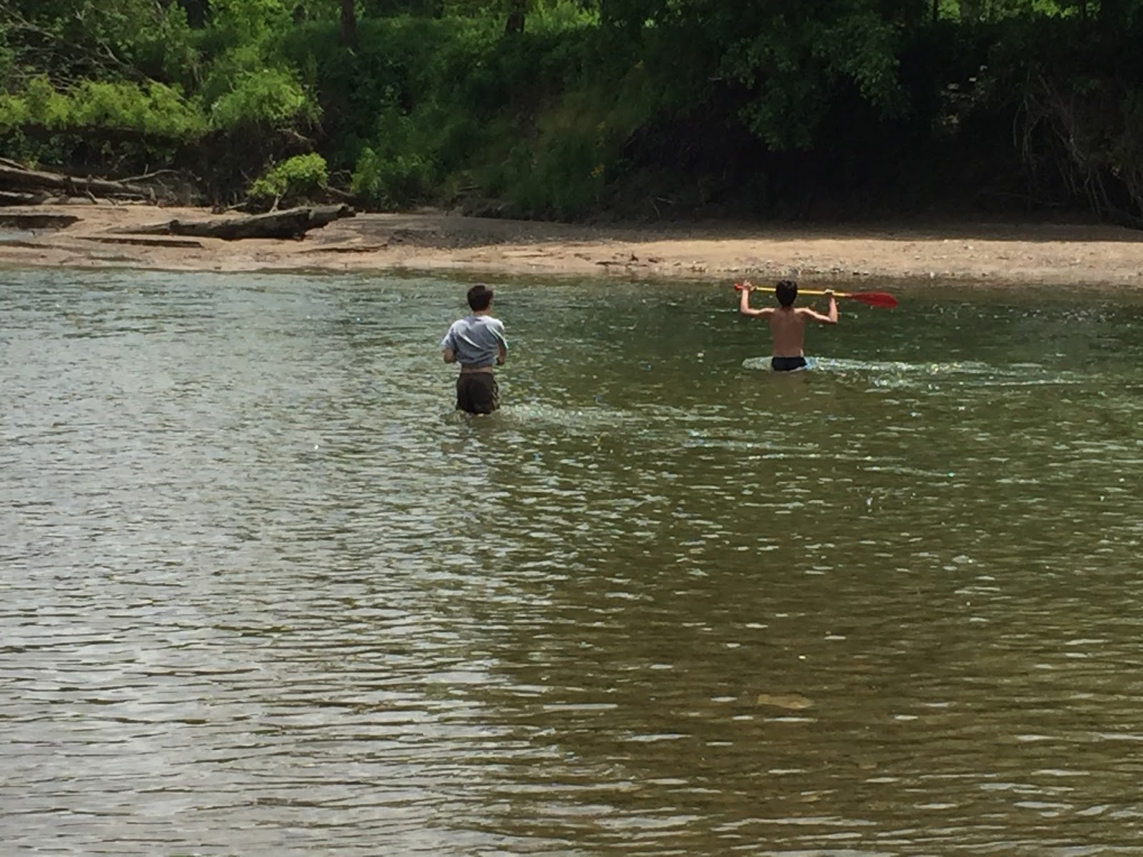 Boy Scout Troop 1 Champaign Overnight Canoe Trip on Sugar Creek, Indiana