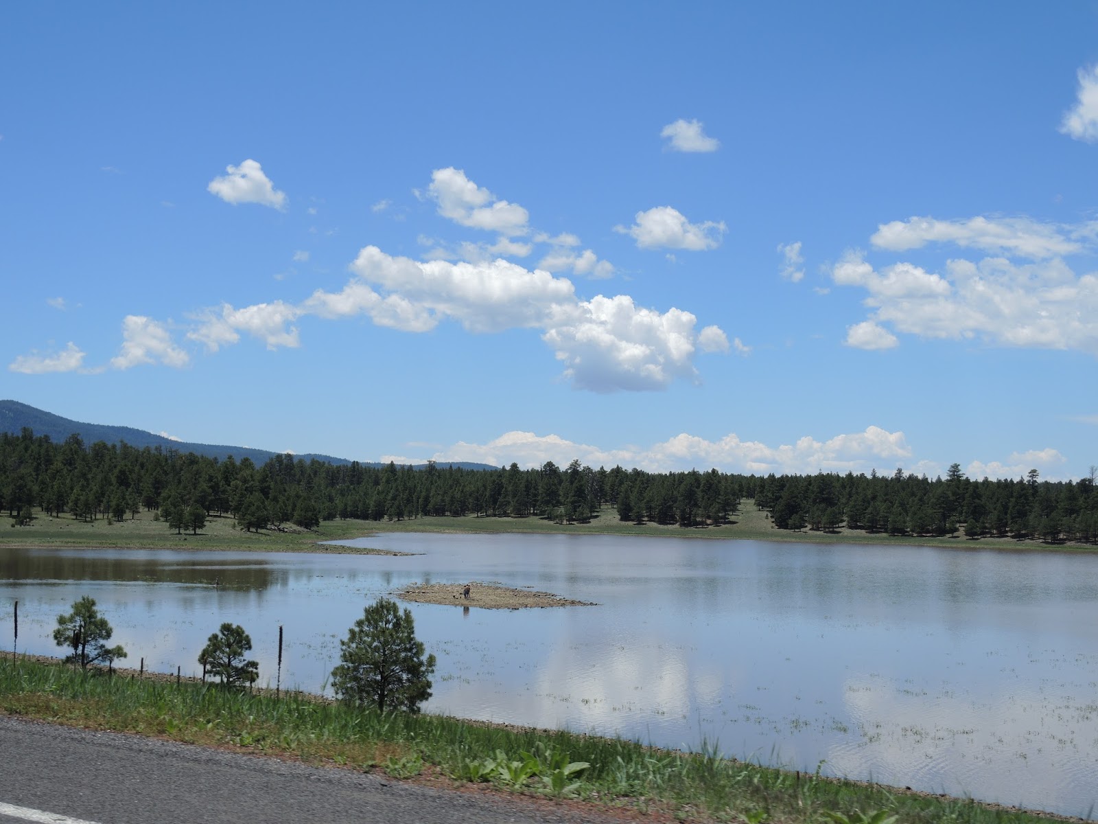 Pillion Papers Ride north along Lake Mary Road