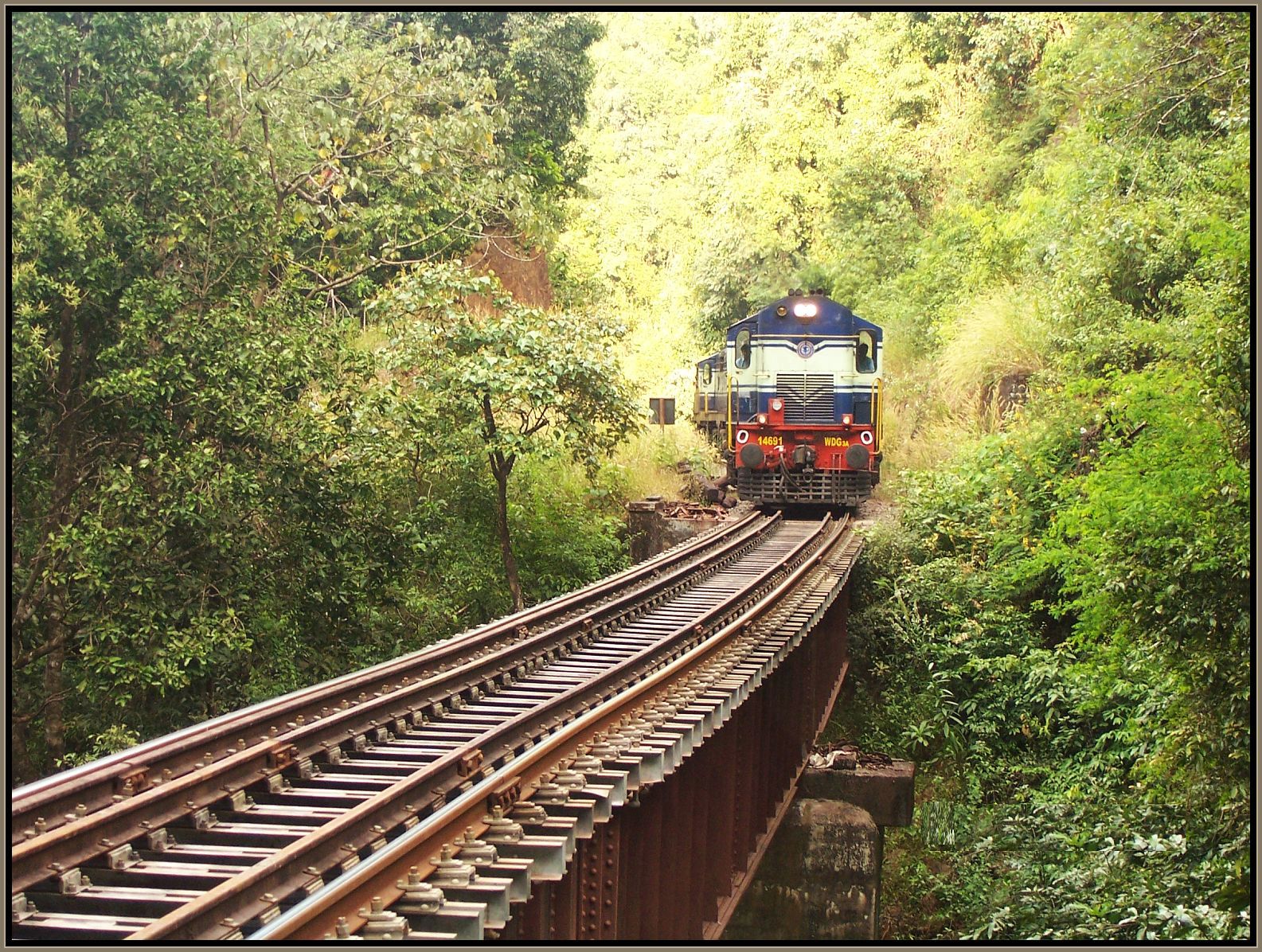 The Voice of Greenery Trekking and Travelling in Western Ghats