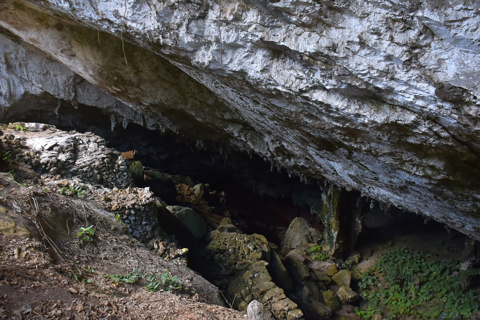 Objek Wisata Gua Alam Sa'pak Bayo - Bayo Objek Wisata Gua Alam Sa'pak Bayo - Bayo