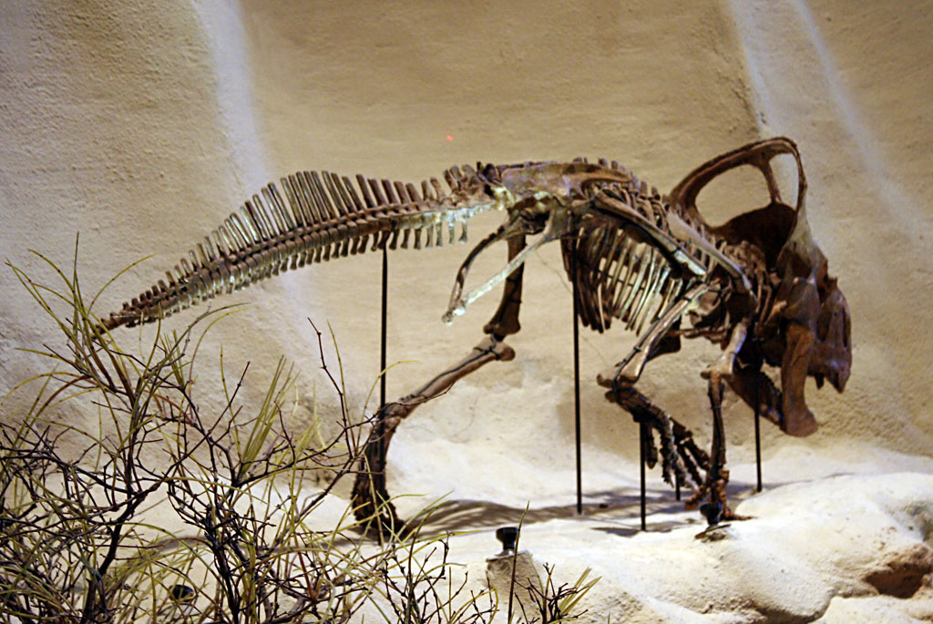 back to the cretaceous