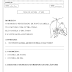 Ficha de Leitura com plano de aula: Morcego