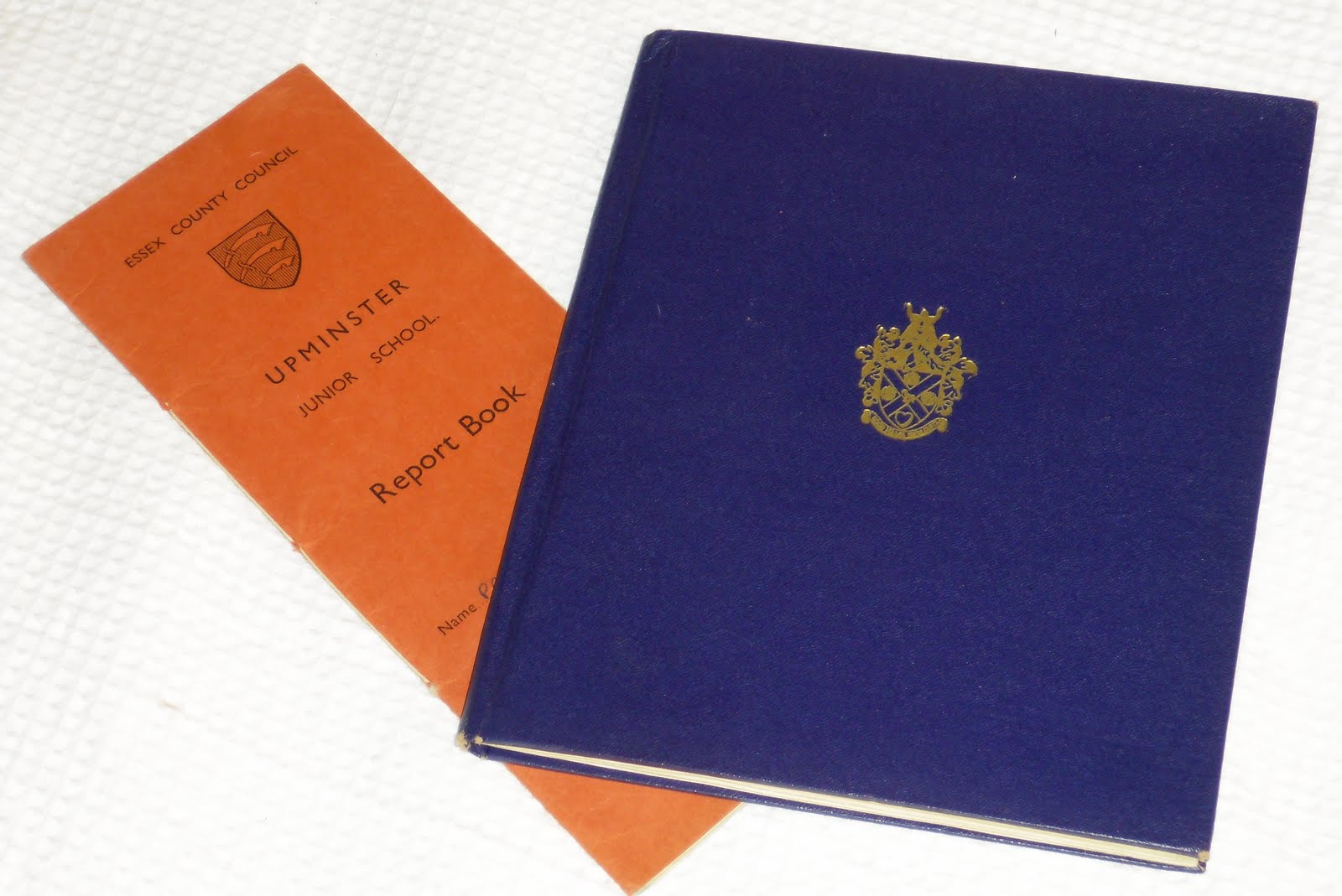 My own 100 objects: June 2011