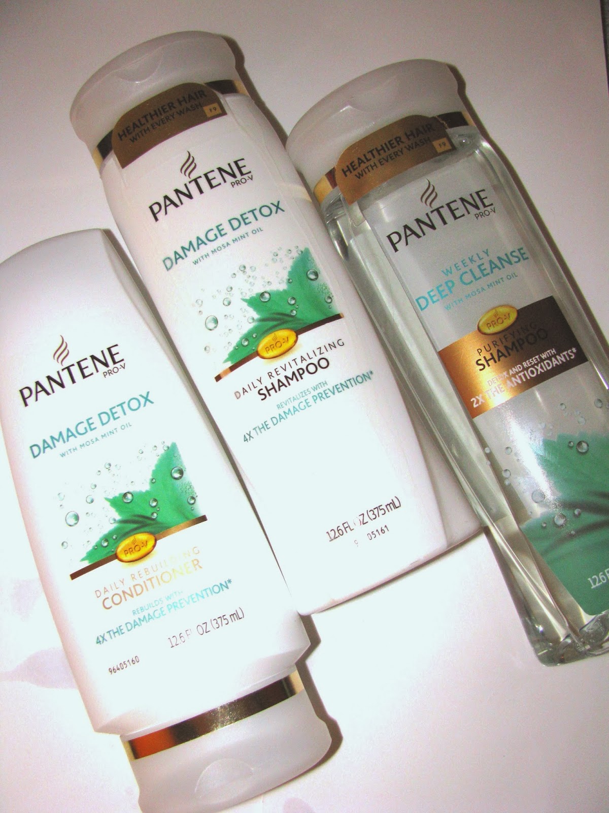 The Beauty Alchemist Pantene Damage Detox