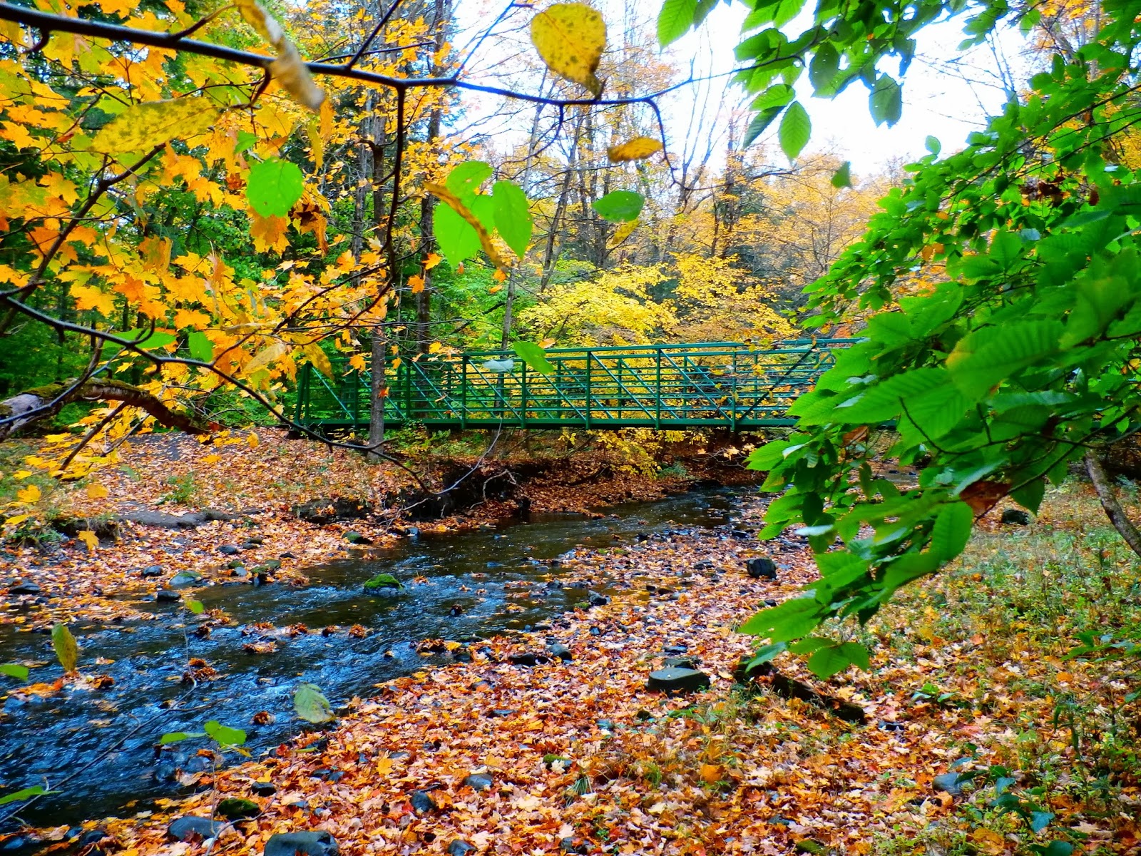 Walking Man 24 7 Fall at Schodack Town Park