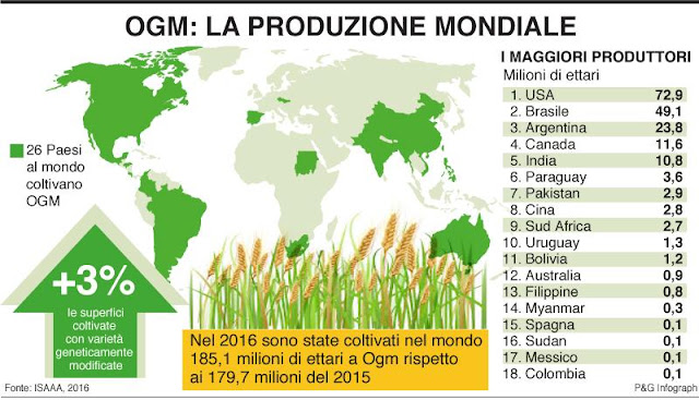 Quali Sono Le Conseguenze Della Moderna Agricoltura Sull Ambiente AGRICOLTURA E BIOTECNOLOGIE