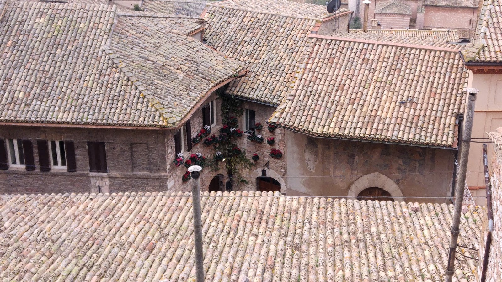 Assisi
