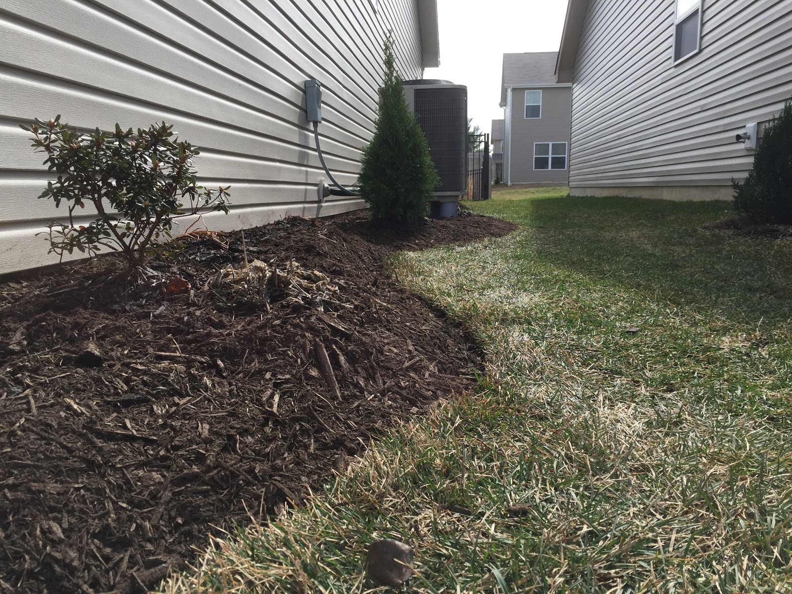 Raising the Wet Shade Bed [Backyard Neophyte Landscaping Blog]