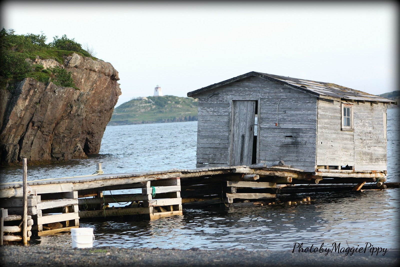 Photos by Maggie Pippy Trinity East, NL