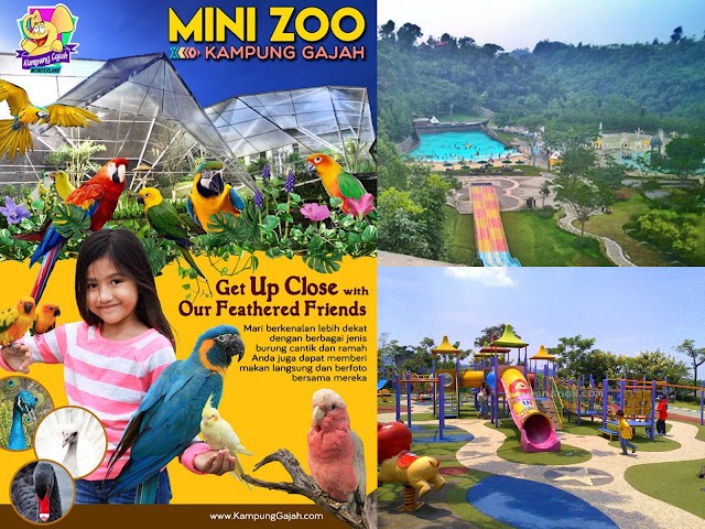 Wisata Kebun Binatang Mini di Kampung Gajah Wonderland 