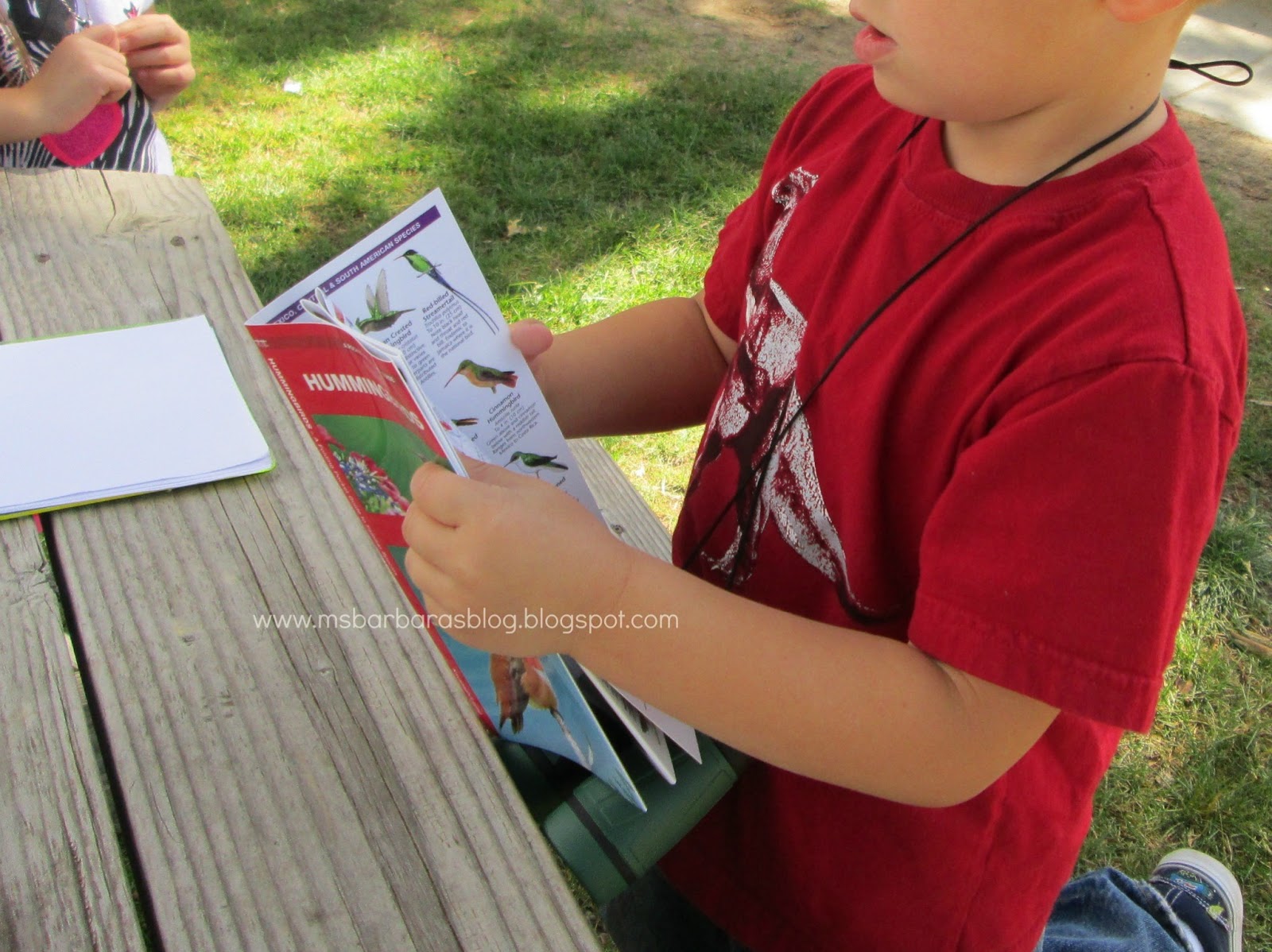 For the Children: Preschool Explorers