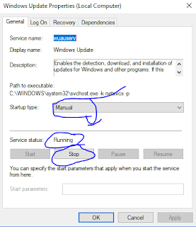disable windows 10 update