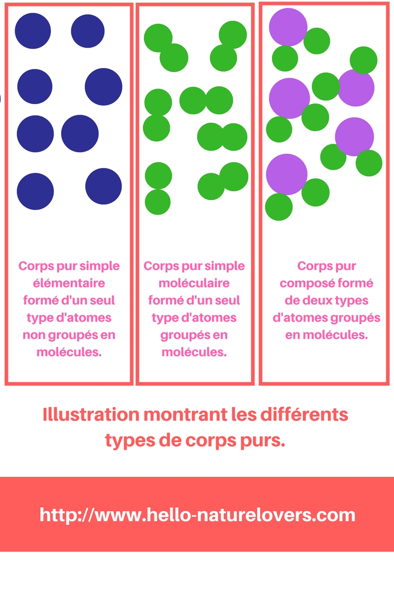 Notion de corps pur, corps pur simple et corps pur composé. NatureLovers Notion de corps pur, corps pur simple et corps pur composé. NatureLovers