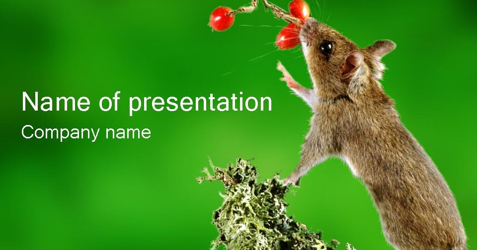Animal PowerPoint Template 7