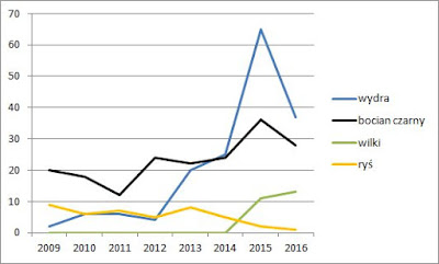 Liczebność wydry, bociana czarnego, wilka i rysia w Kampinoskim Parku Narodowym