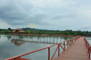 Harga Paket Wisata Mangrove Di Pangandaran - My Green Canyon