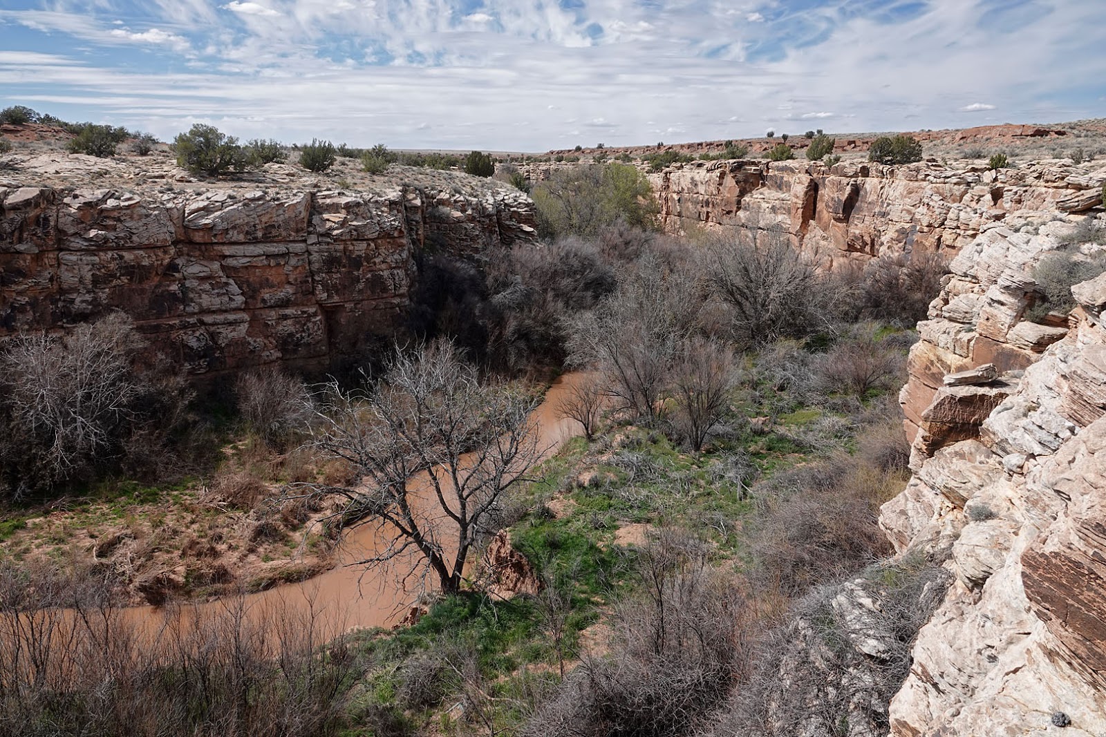 Stan's Travels Snowflake, Az (4/2/2019)