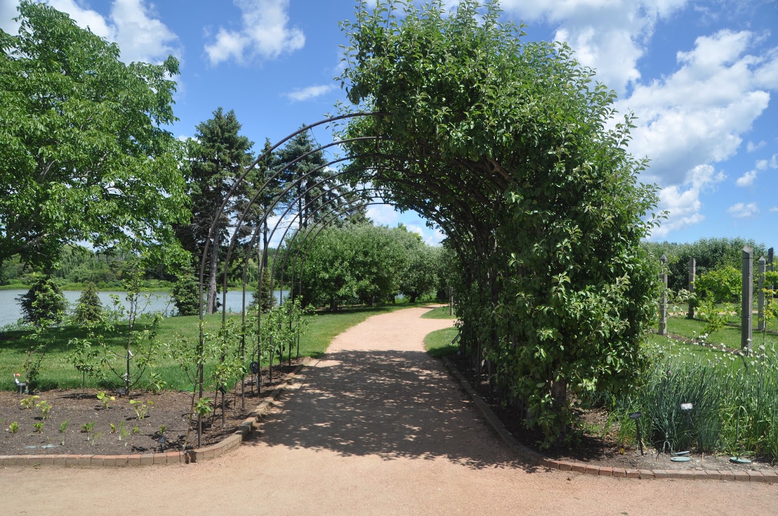 Travel Log Chicago Botanic Gardens