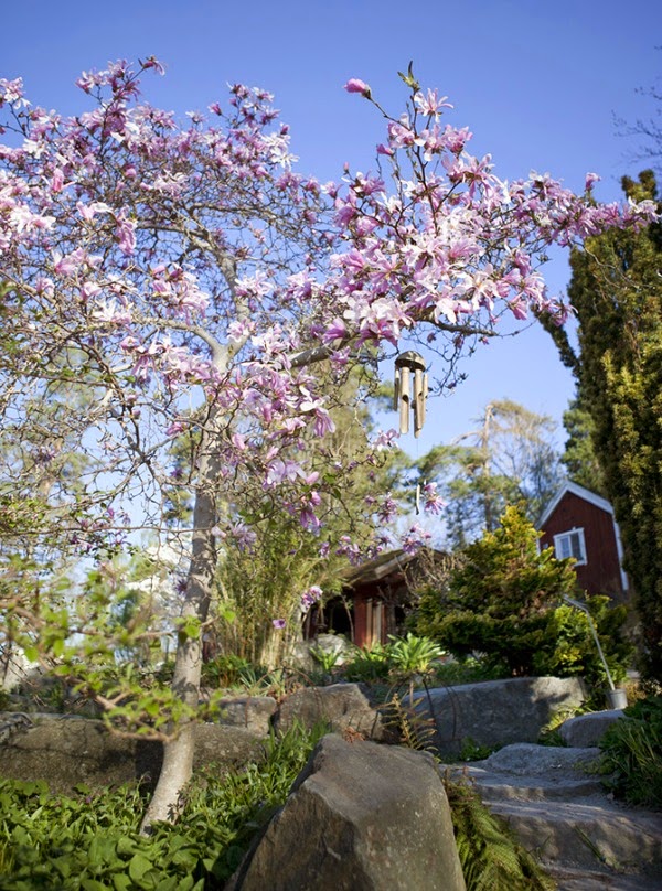 Estilo nórdico para el jardín: un vivero en Suecia - Guia de jardin