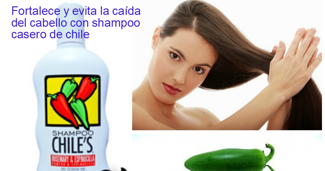 Shampoo de chile casero para evitar la caída del cabello y fortalecerlo